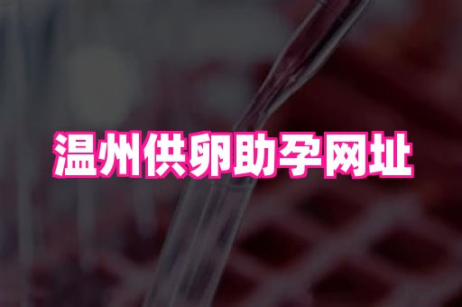 南京助孕网 3