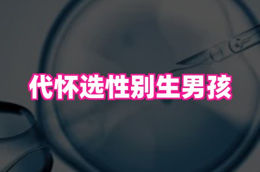 南京助孕网 4